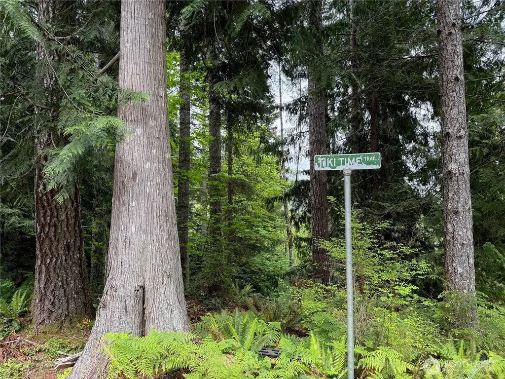 650 W Cushman Ridge Drive Hoodsport WA 98548