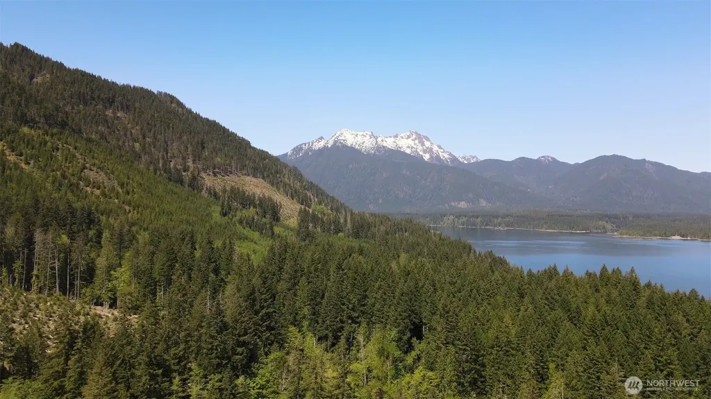 650 W Cushman Ridge Drive Hoodsport WA 98548