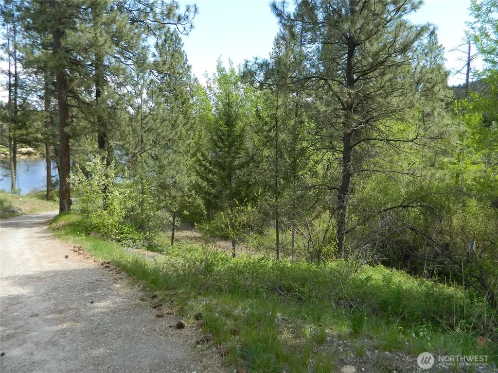 46 Little Bear Lane Tonasket WA 98855