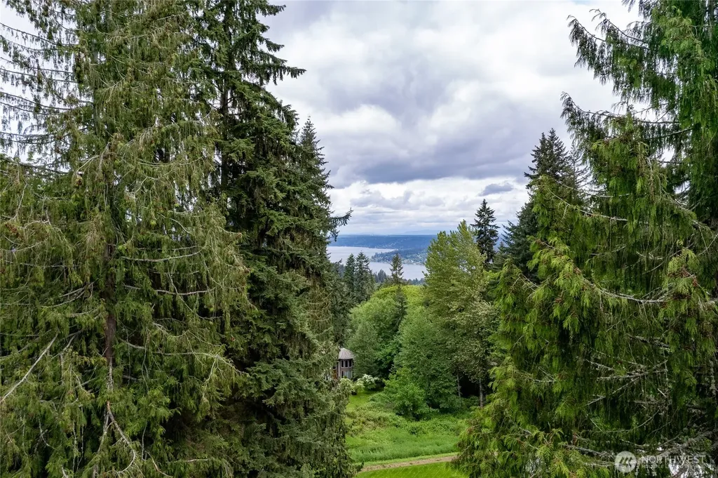 17426 SE 60th Street Bellevue WA 98006