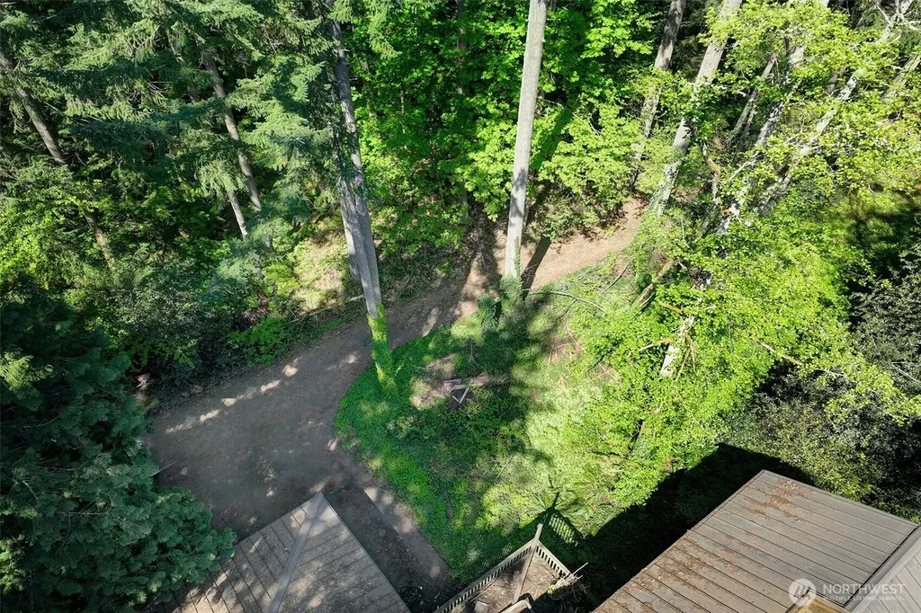 3815 131st Avenue NE Bellevue WA 98005