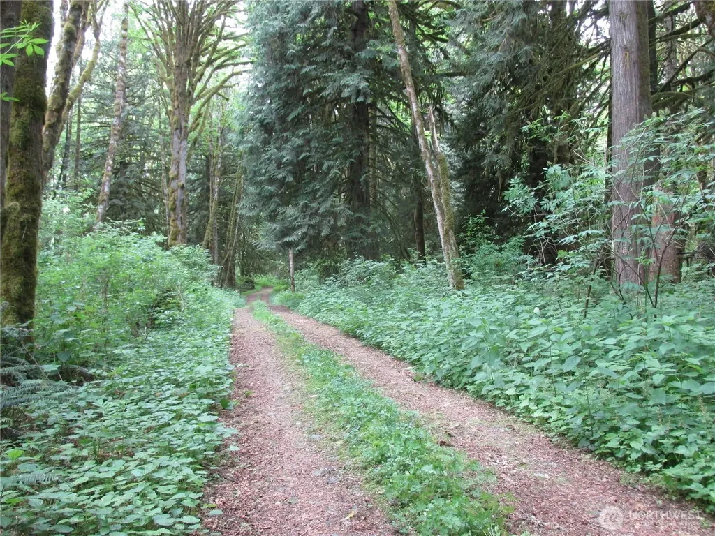 0 Arnold Lane Concrete WA 98237