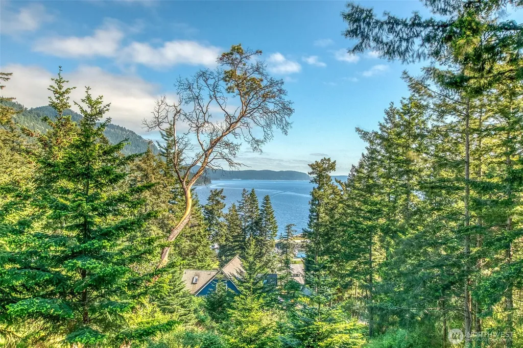 118 Cascade Way Orcas Island WA 98245