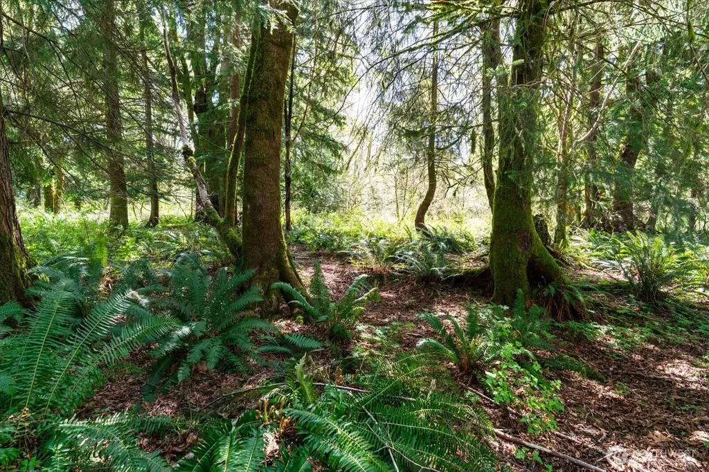0 Mountain View Boulevard SE North Bend WA 98045
