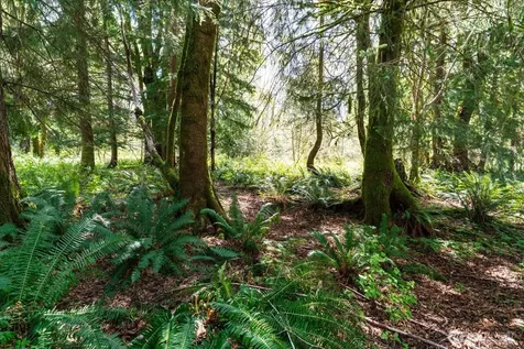 0 Mountain View Boulevard SE North Bend WA 98045