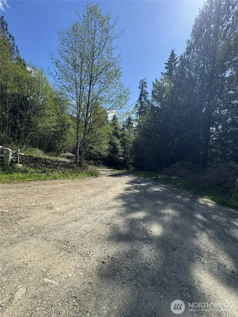 19911 State Route 165 E Carbonado WA 98323