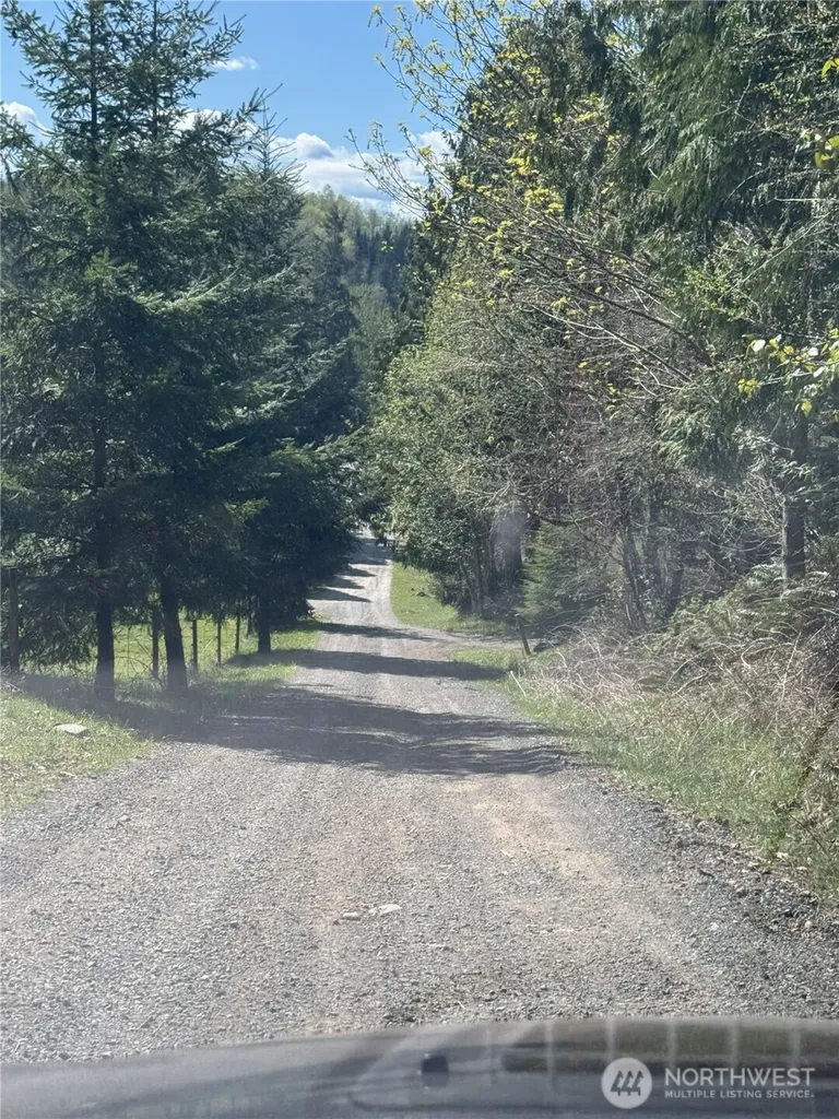 19911 State Route 165 E Carbonado WA 98323