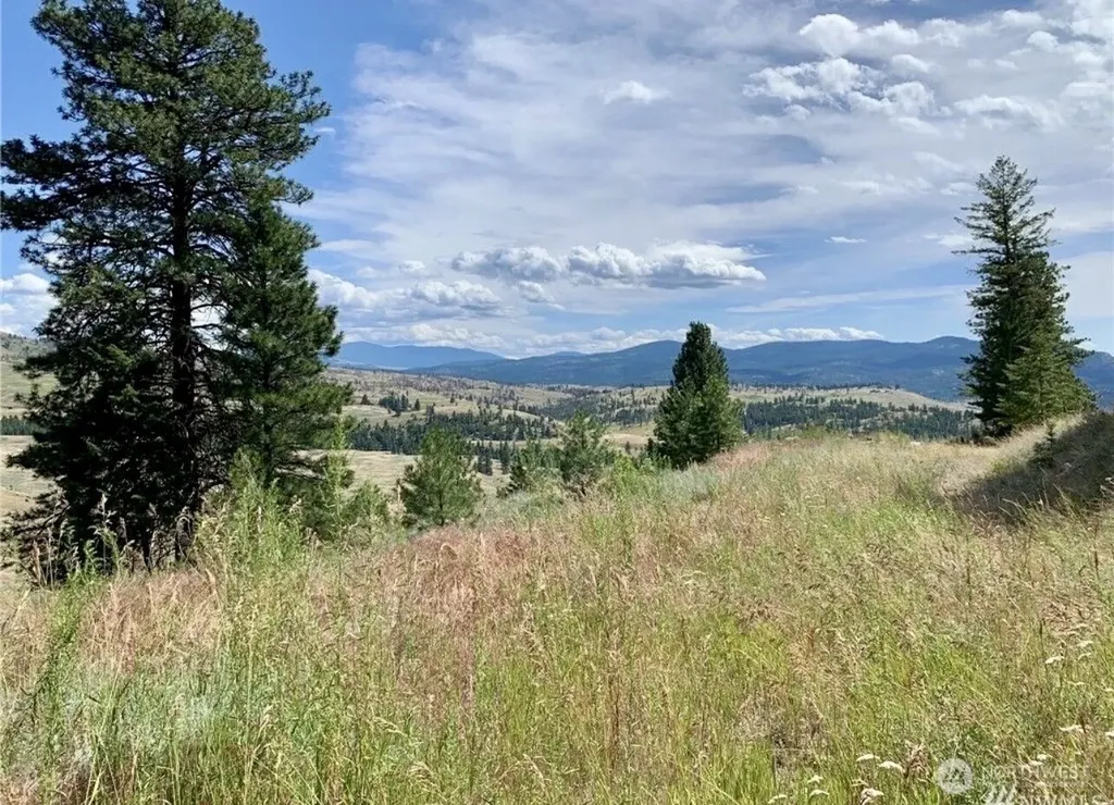 0 Blue Grouse Road Oroville WA 98844