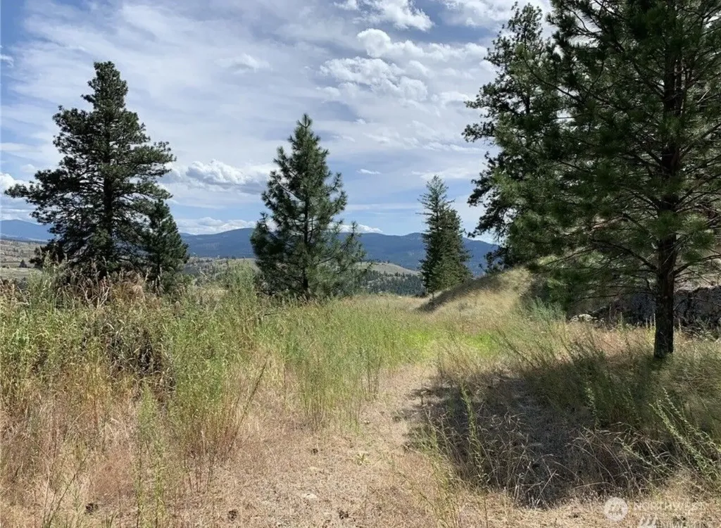 0 Blue Grouse Road Oroville WA 98844