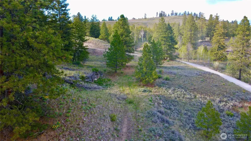 0 Blue Grouse Road Oroville WA 98844