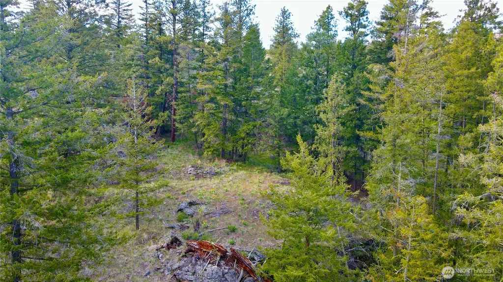 0 Blue Grouse Road Oroville WA 98844