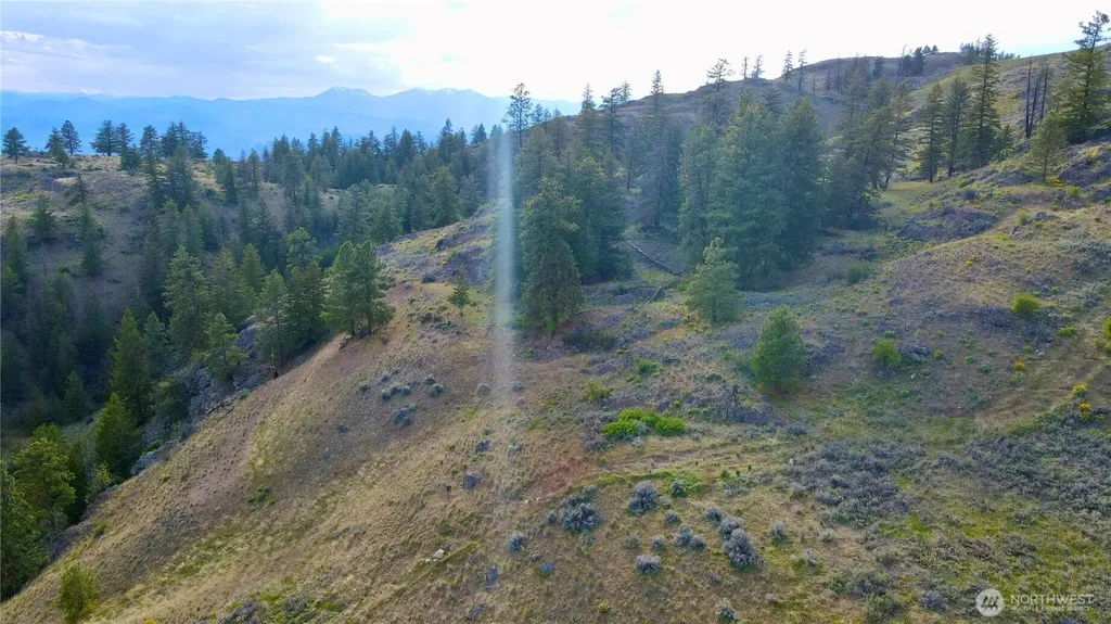 0 Blue Grouse Road Oroville WA 98844