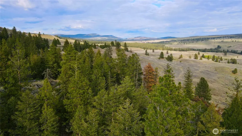 0 Blue Grouse Road Oroville WA 98844