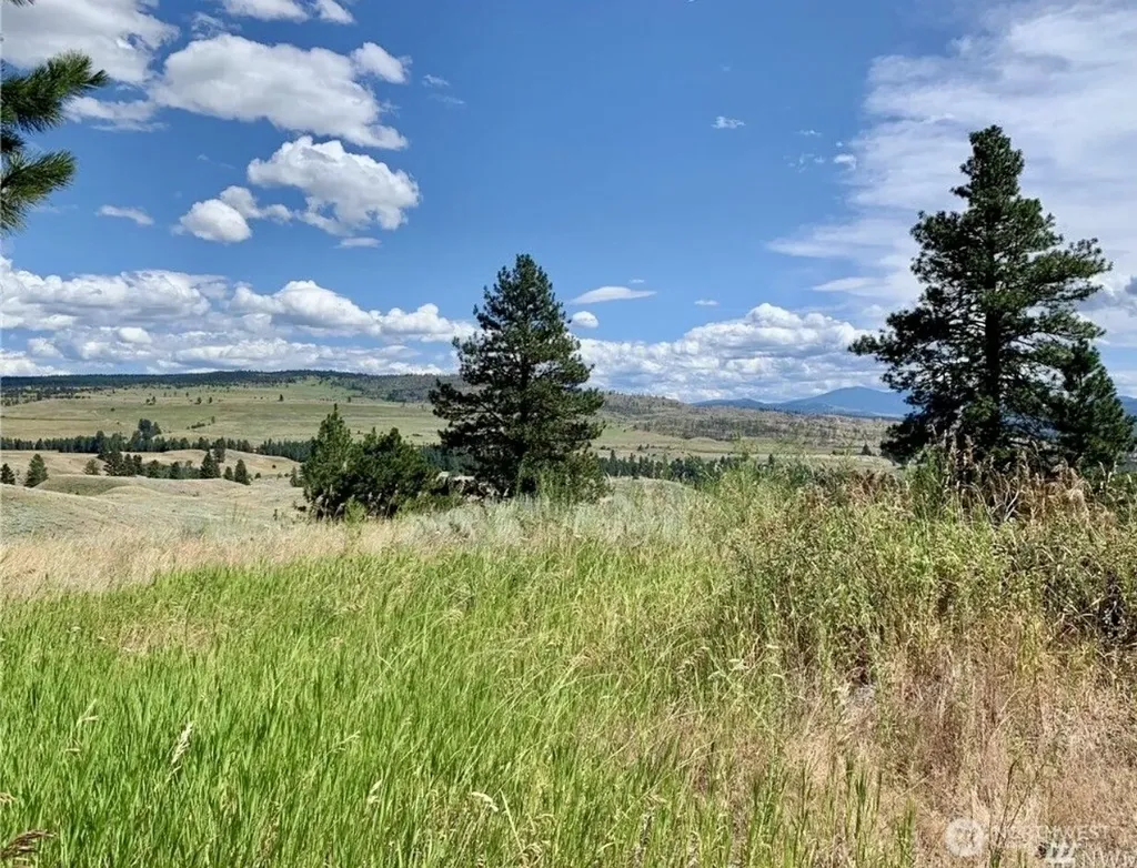 0 Blue Grouse Road Oroville WA 98844
