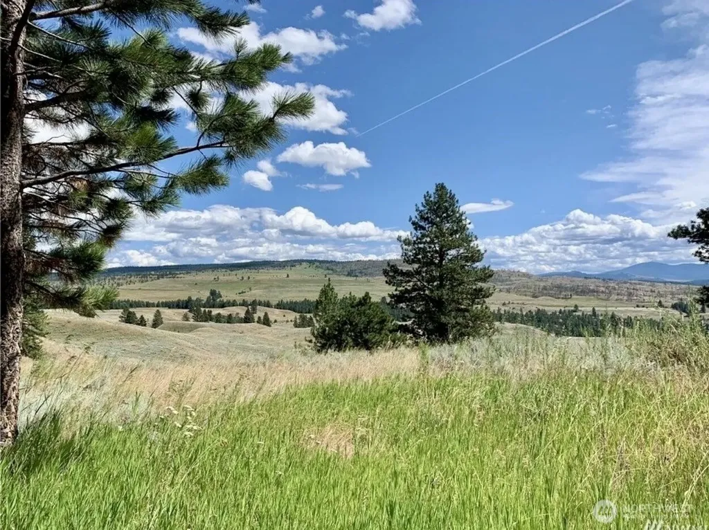 0 Blue Grouse Road Oroville WA 98844