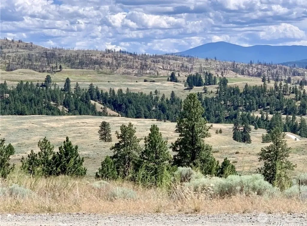 0 Blue Grouse Road Oroville WA 98844