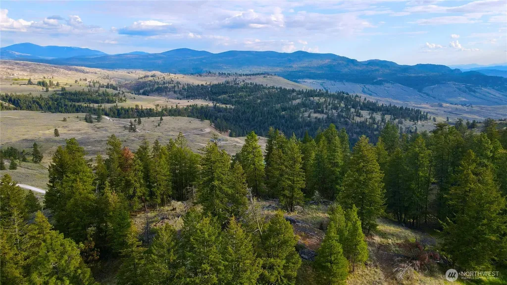 0 Blue Grouse Road Oroville WA 98844