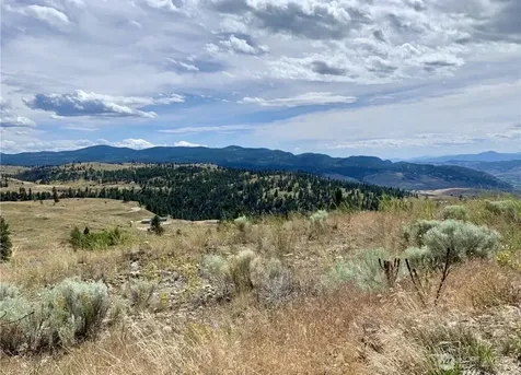 0 Blue Grouse Road Oroville WA 98844