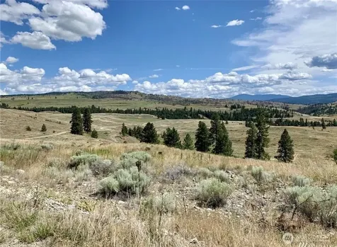 0 Blue Grouse Road Oroville WA 98844