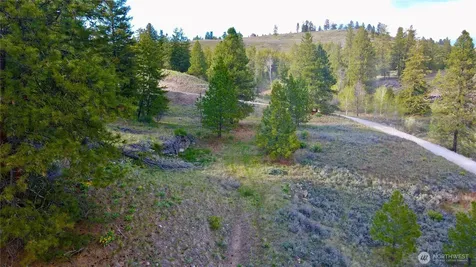 0 Blue Grouse Road Oroville WA 98844