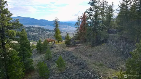 0 Blue Grouse Road Oroville WA 98844