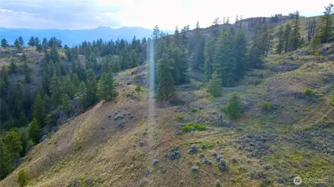 0 Blue Grouse Road Oroville WA 98844