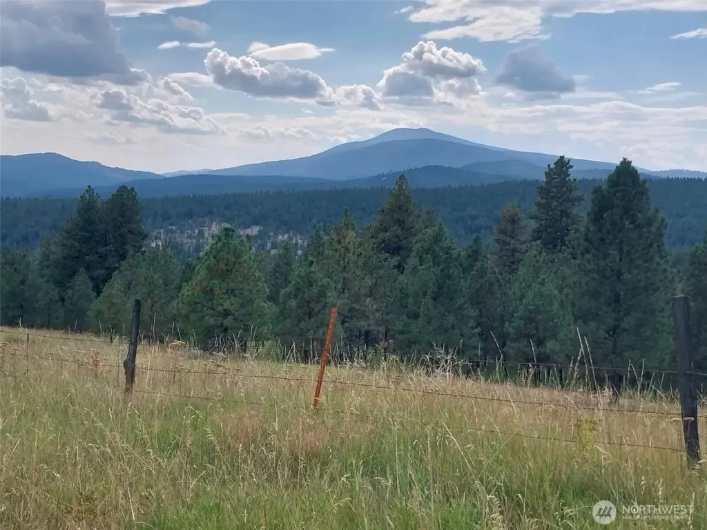 24 Greer Road Oroville WA 98859