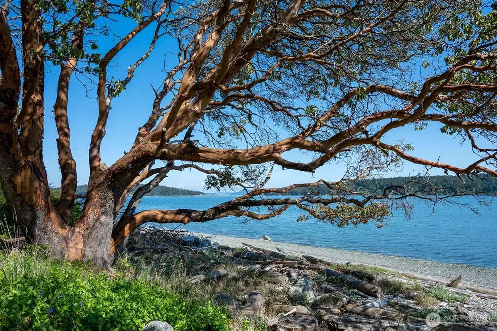 1484 Islandale Road Lopez Island WA 98261