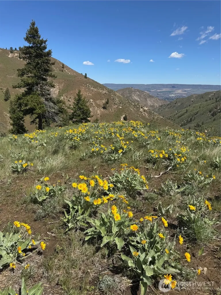 0 Uphill Lane Wenatchee WA 98801