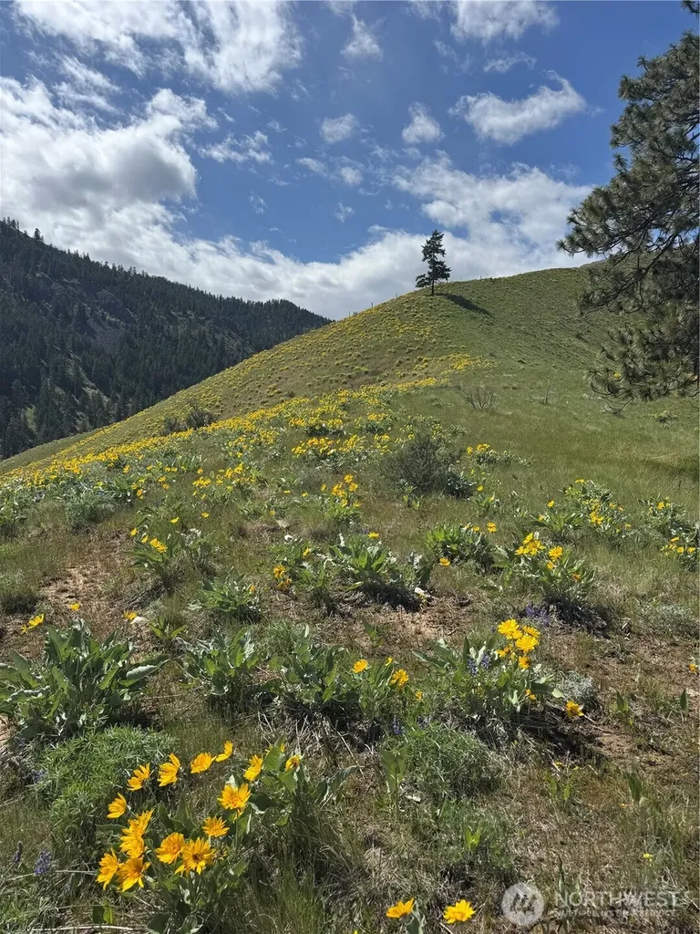 0 Uphill Lane Wenatchee WA 98801