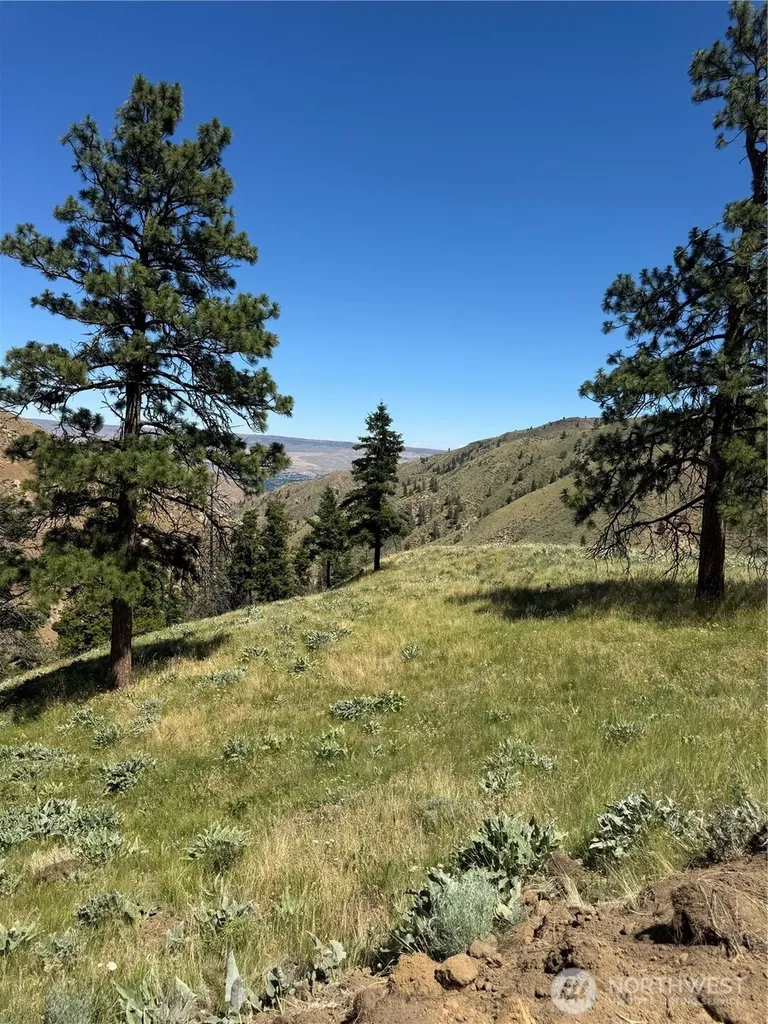 0 Uphill Lane Wenatchee WA 98801