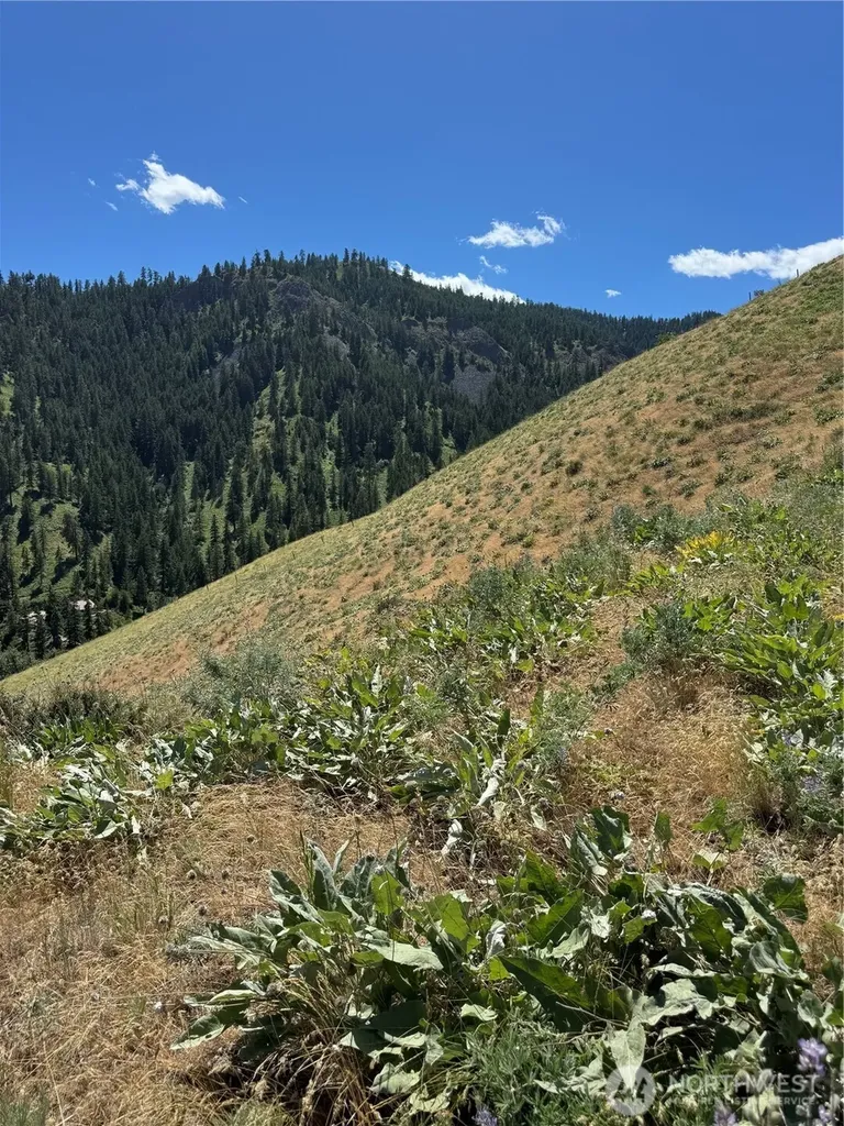 0 Uphill Lane Wenatchee WA 98801