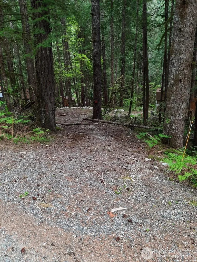 0 Cascade River Road Marblemount WA 98263
