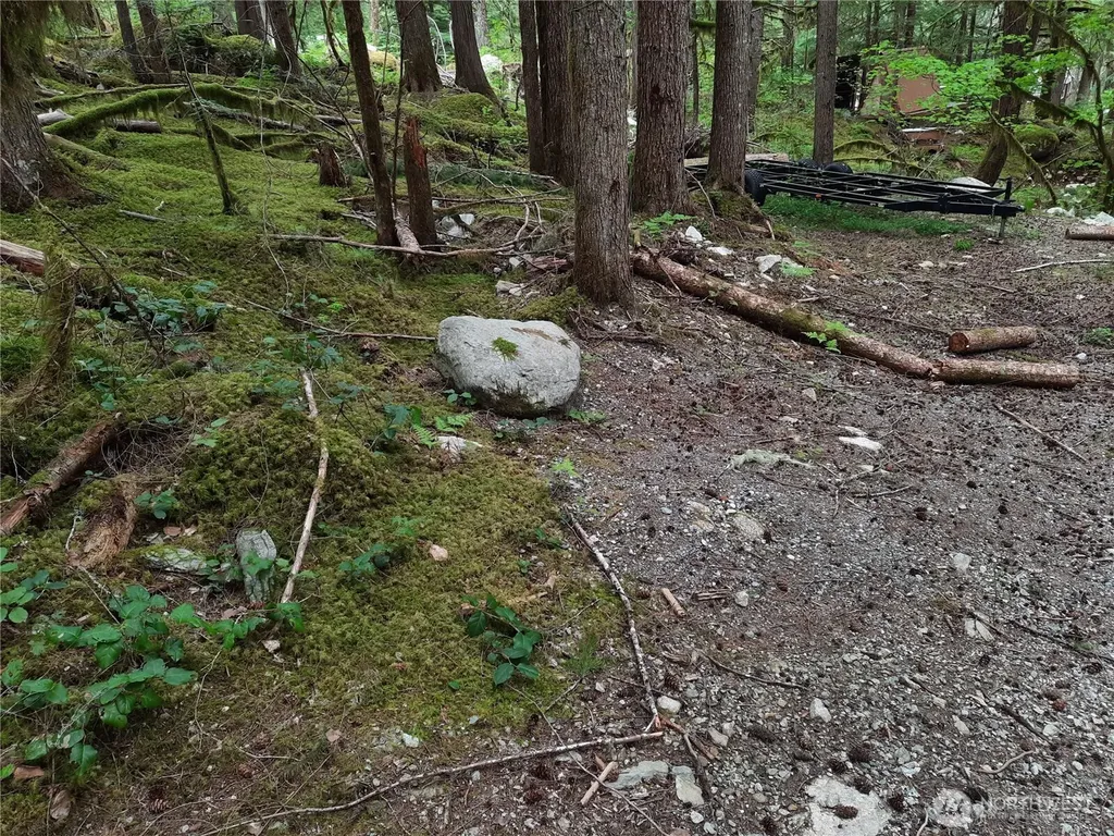 0 Cascade River Road Marblemount WA 98263