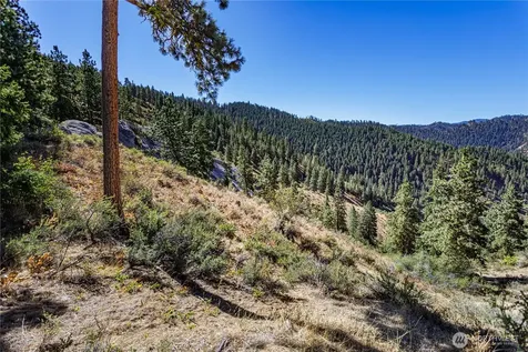 0 Sky Meadows Road Cashmere WA 98815