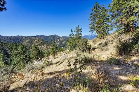 0 Sky Meadows Road Cashmere WA 98815