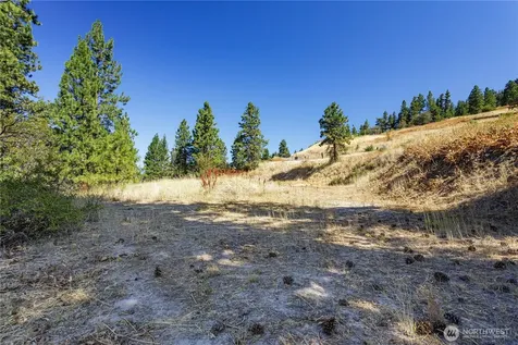 0 Sky Meadows Road Cashmere WA 98815