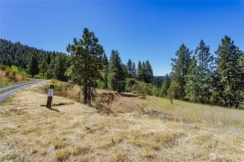 0 Sky Meadows Road Cashmere WA 98815