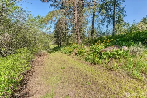0 Sky Meadows Road Cashmere WA 98815