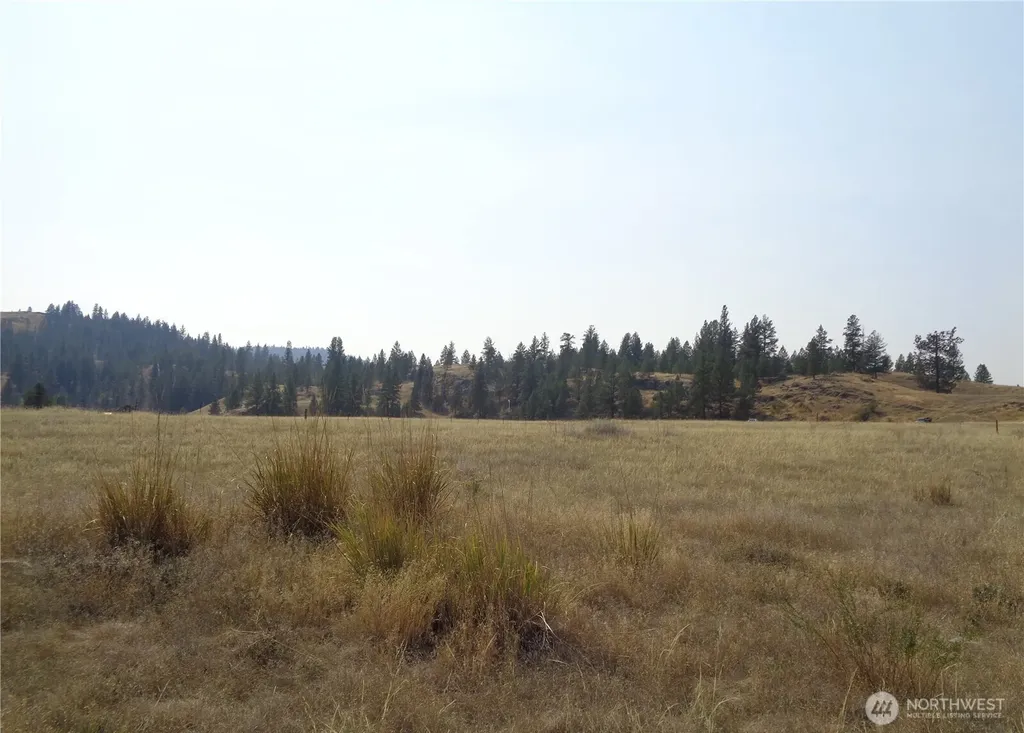 337 Watoka Way Tonasket WA 98855
