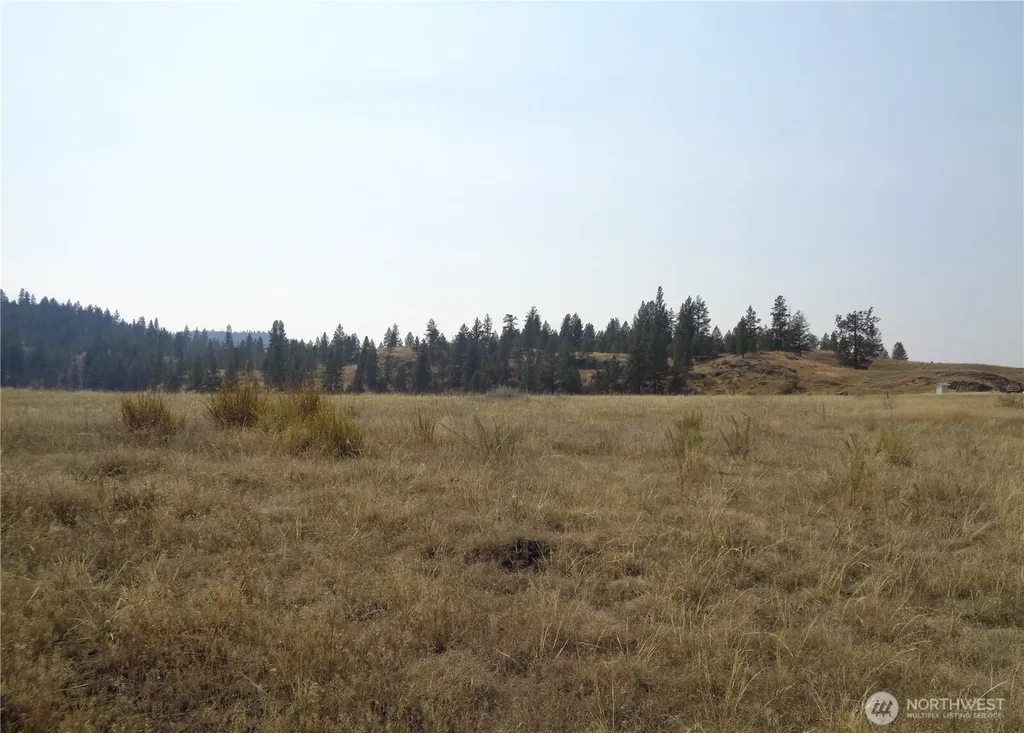 337 Watoka Way Tonasket WA 98855