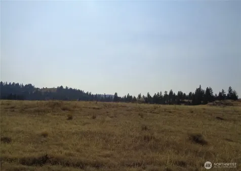 337 Watoka Way Tonasket WA 98855