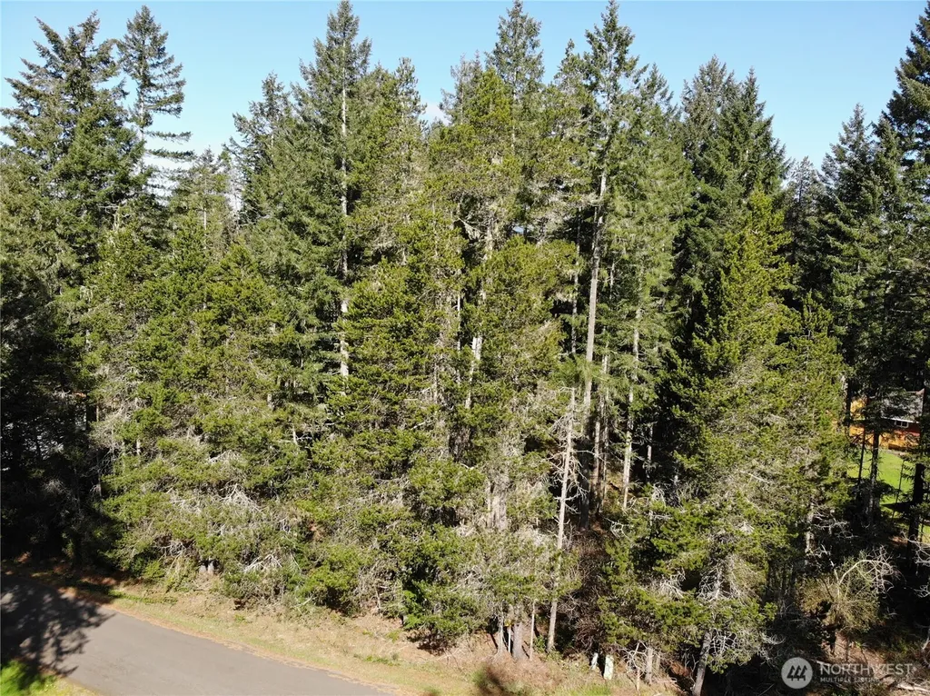 41 N Varden Way Hoodsport WA 98548