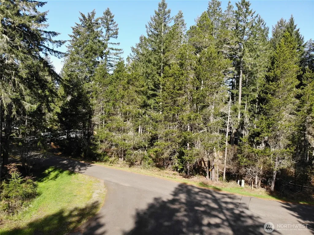 41 N Varden Way Hoodsport WA 98548