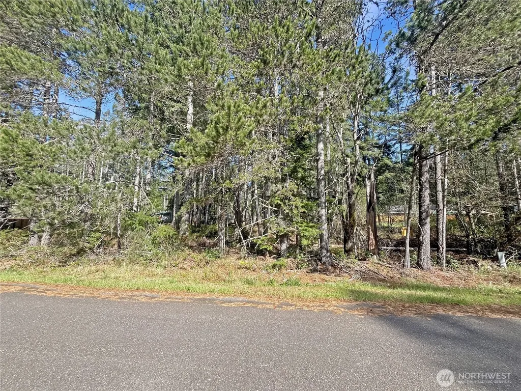 41 N Varden Way Hoodsport WA 98548
