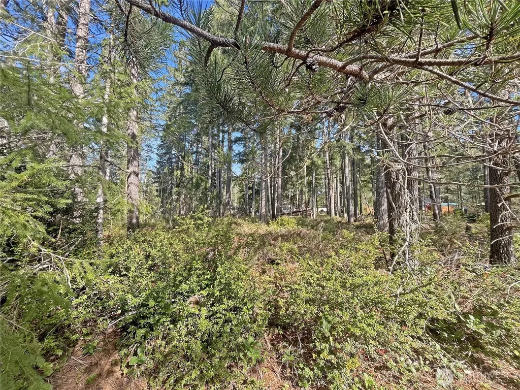 41 N Varden Way Hoodsport WA 98548