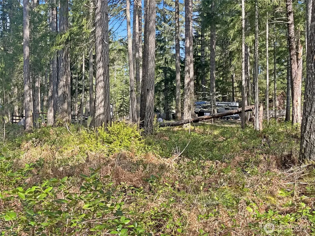 21 N Varden Way Hoodsport WA 98548