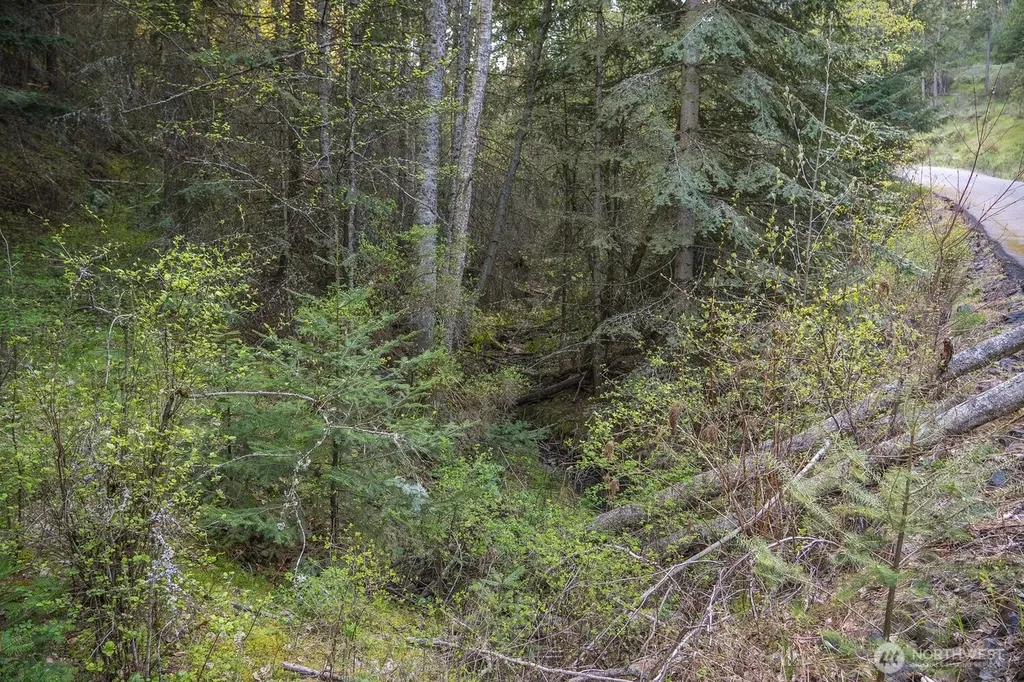 10610 Hallett Spokane WA 99206