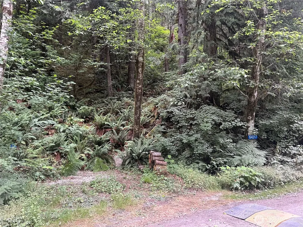 64017 E Cascade Drive Marblemount WA 98267