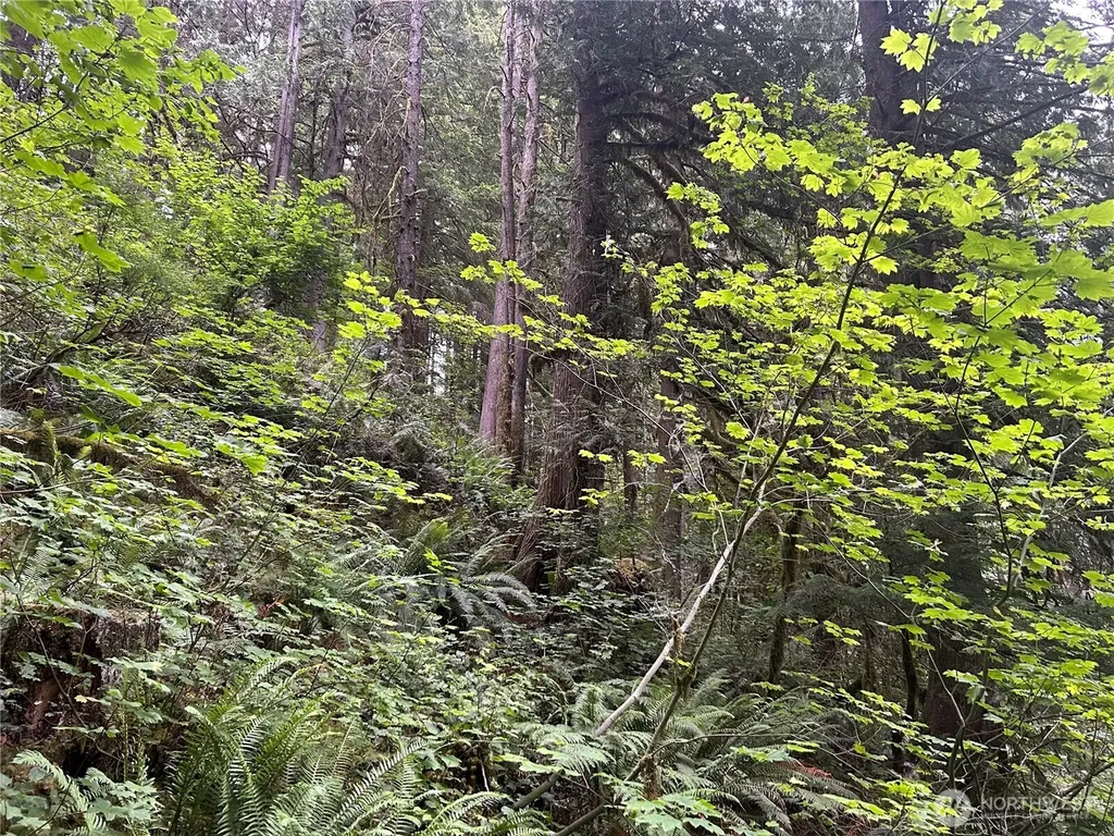 64017 E Cascade Drive Marblemount WA 98267